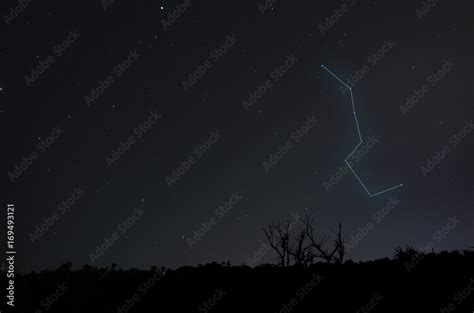 北斗七星圖案|368 北斗七星 Stock Photos, High